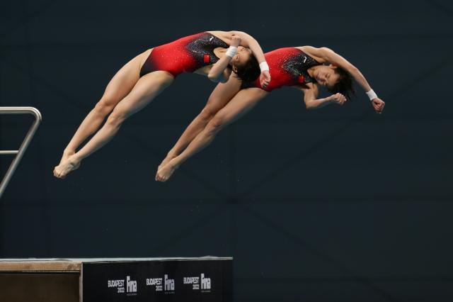 博鱼-跳水世界杯中国冲奥运八金 全红婵有望金牌大满贯